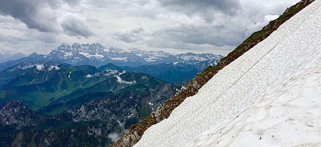 b8902ec4-9bf7-4393-8b2d-c98ae5418a7f